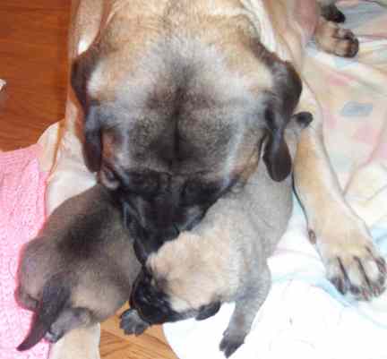 Nuzzling with mom