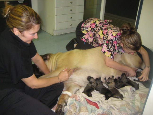 First feeding at vet 09 29 10