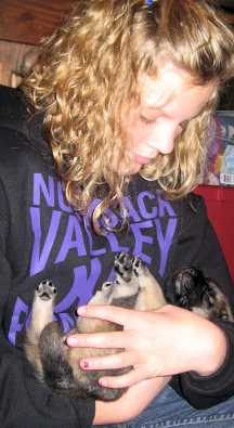 Megan Compton with a mastiff puppy