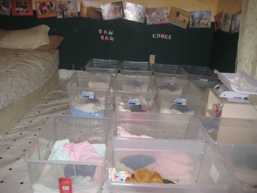 The Nursery